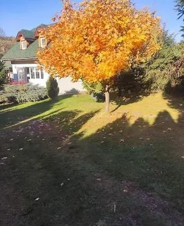 Domcek * 里托斯基挪威克