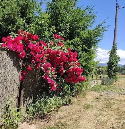 度假居 Domcek 里托斯基挪威克